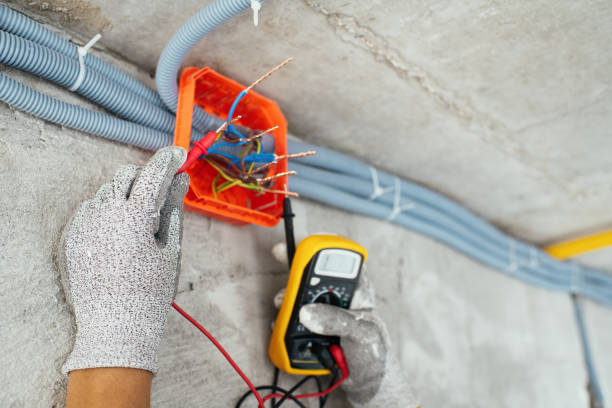 Best Electrician for Home Renovation  in Andover, MN